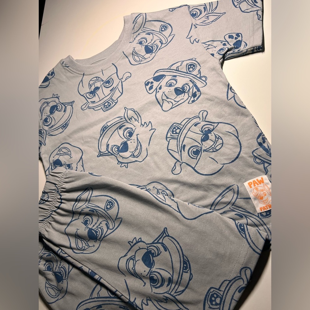 Paw Patrol Gray and Blue Character Tee